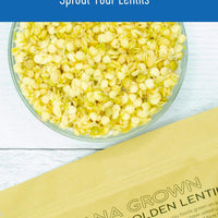 How to Sprout Yellow Lentils