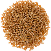 Bulk Red Spring Wheat Berries