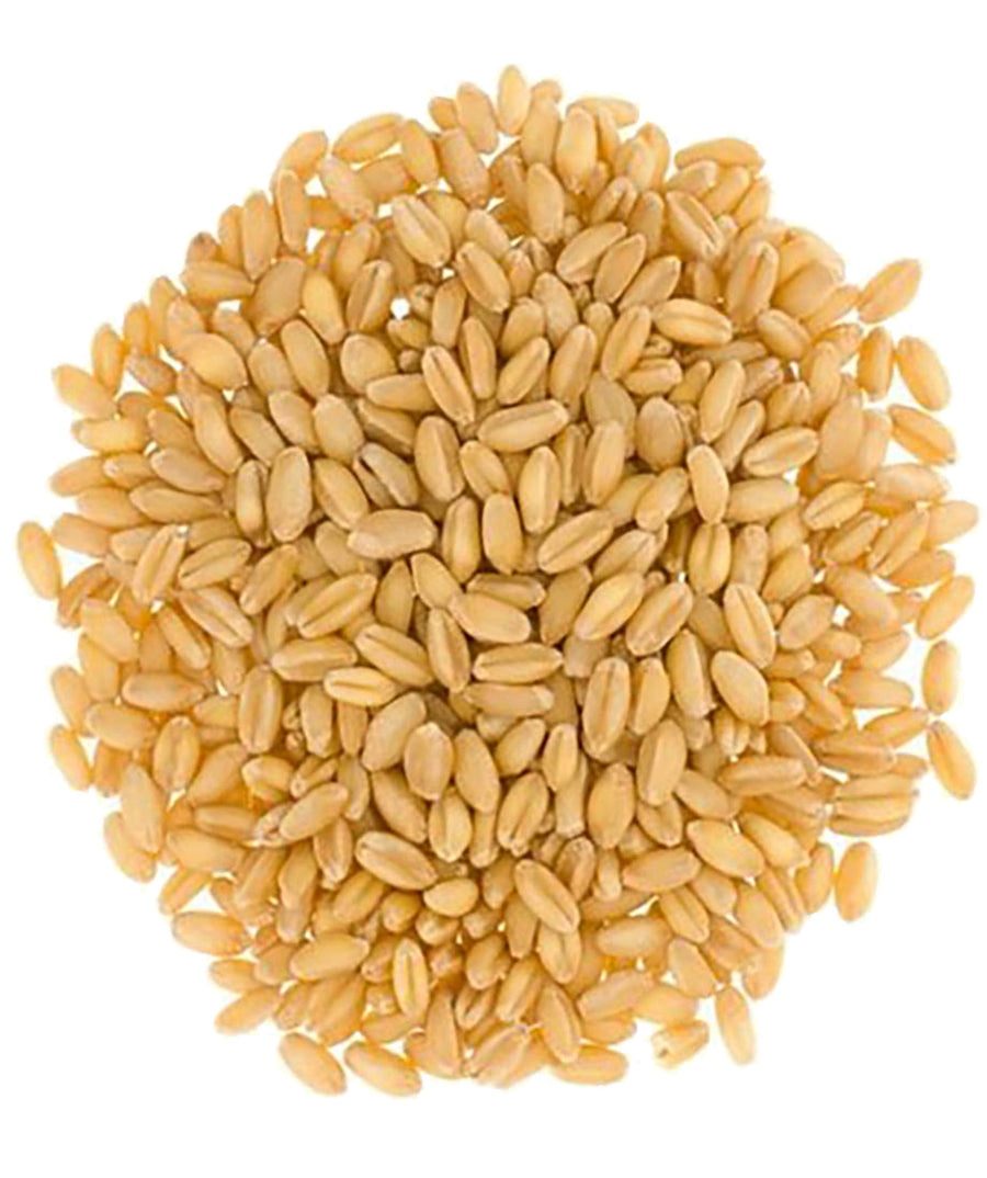 Bulk Hard White Wheat Berries