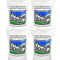 Red Spring Wheat Berries Bulk 100 LBS