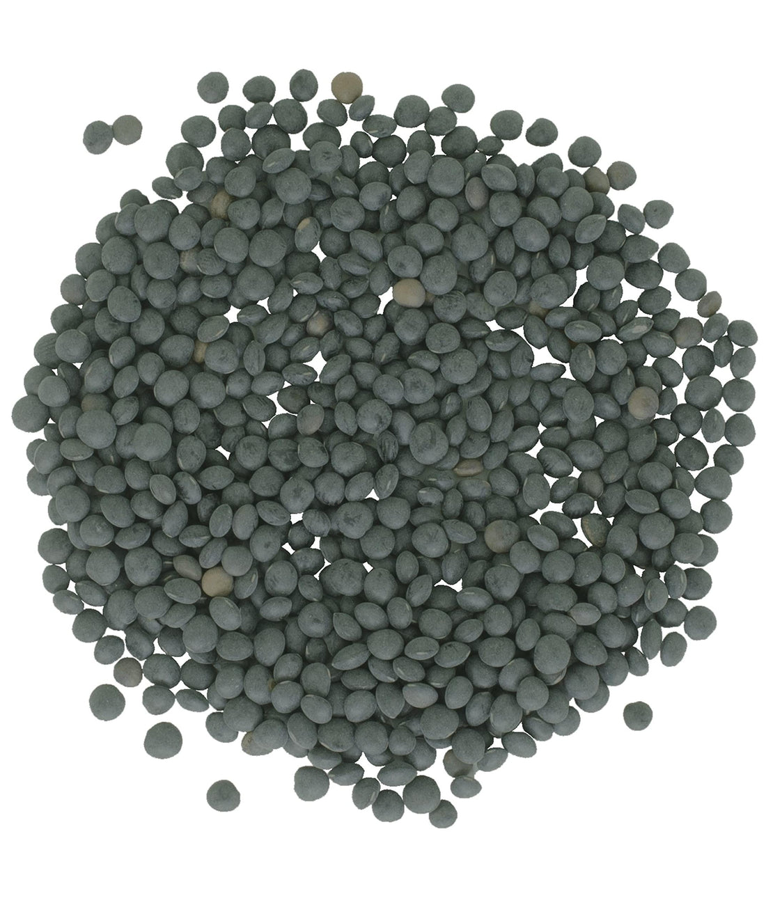 Bulk Beluga Lentils Image