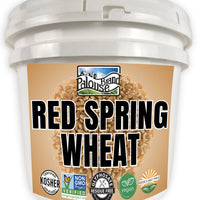 Bulk Red Spring Wheat Berries Long Term Storage