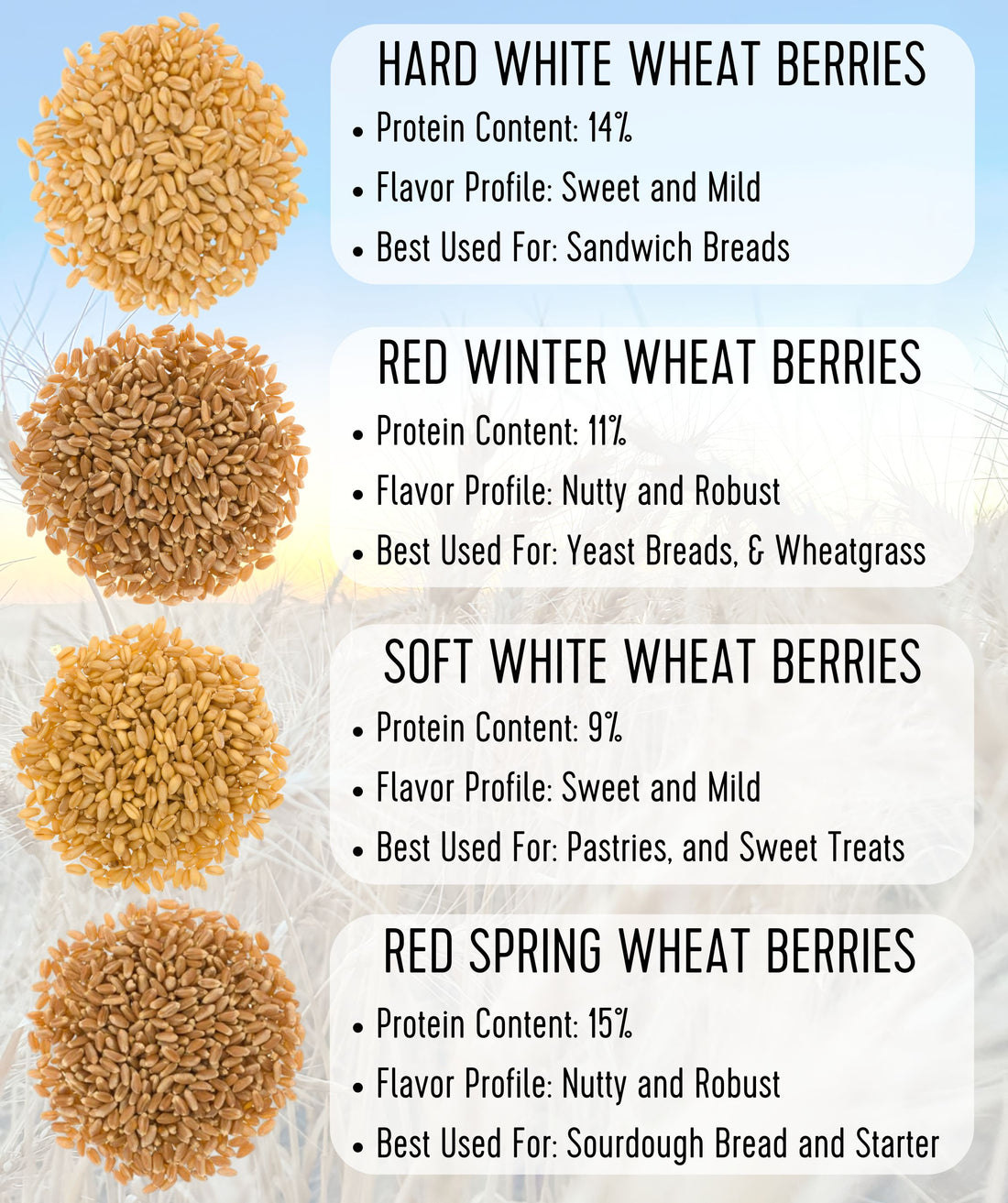 Wheat berries comparison