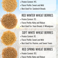 Wheat Berry Comparison Chart