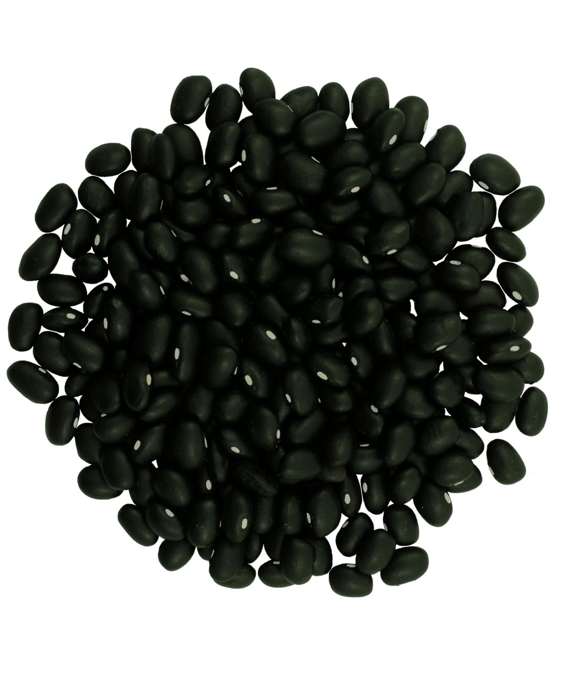 Black Beans | 8 lbs (2 × 4 lb) | Non-GMO | Sustainable Grown – Value Pack