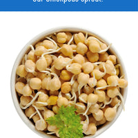 Sprout Chickpeas