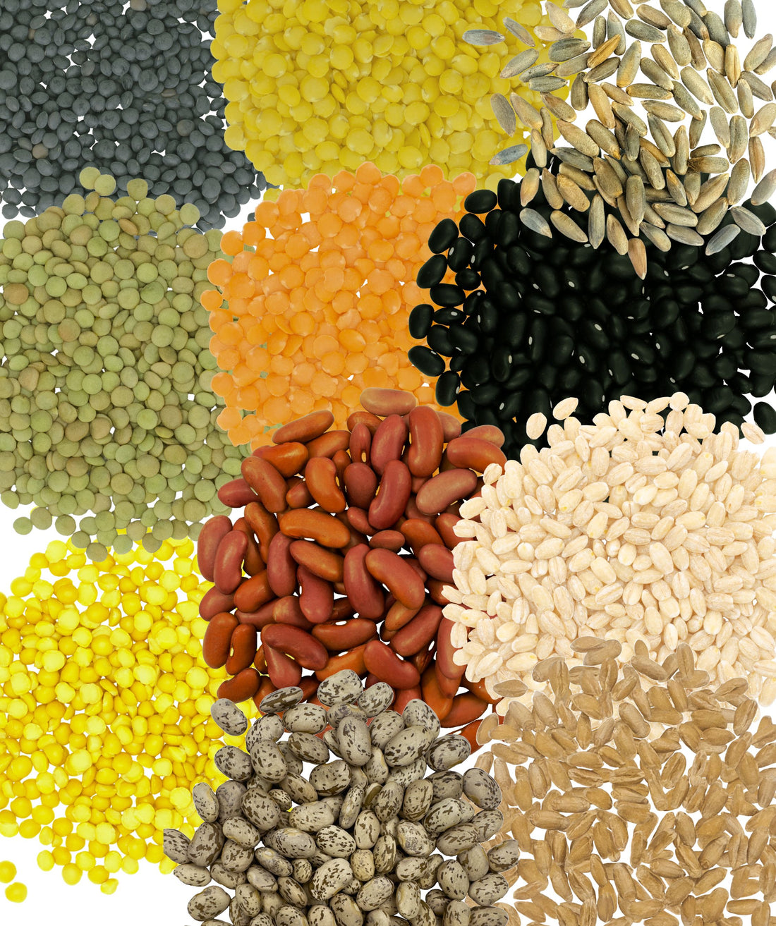 Bulk Dry Foods