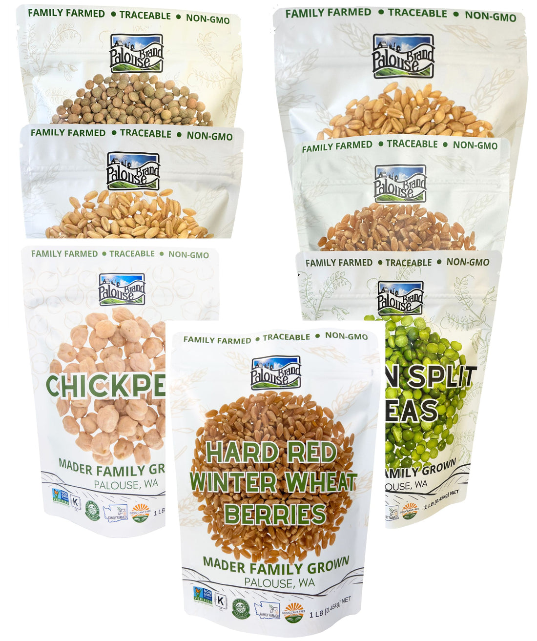 Dry Grains and Legumes 1 LB Bags