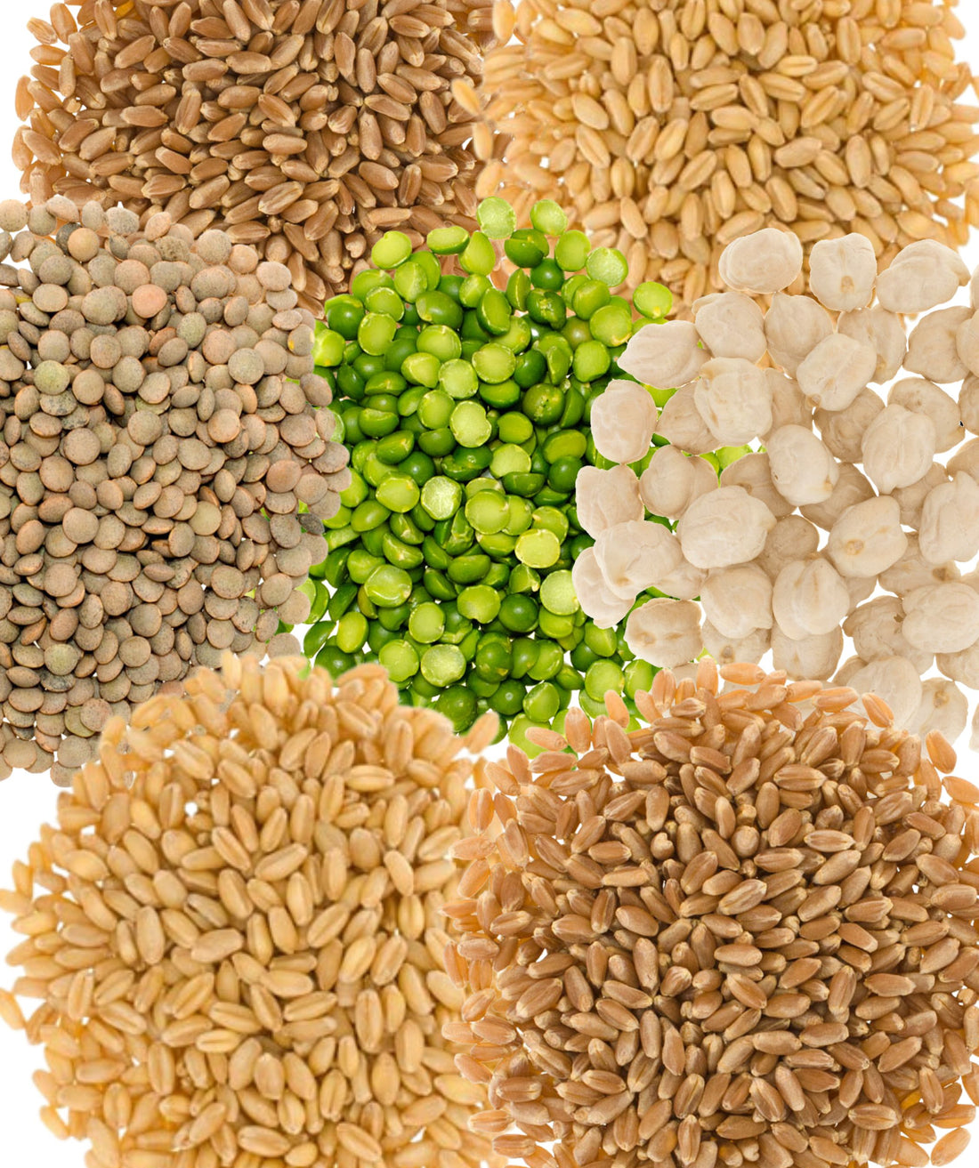 Family Farmed Dry Grains and Legumes