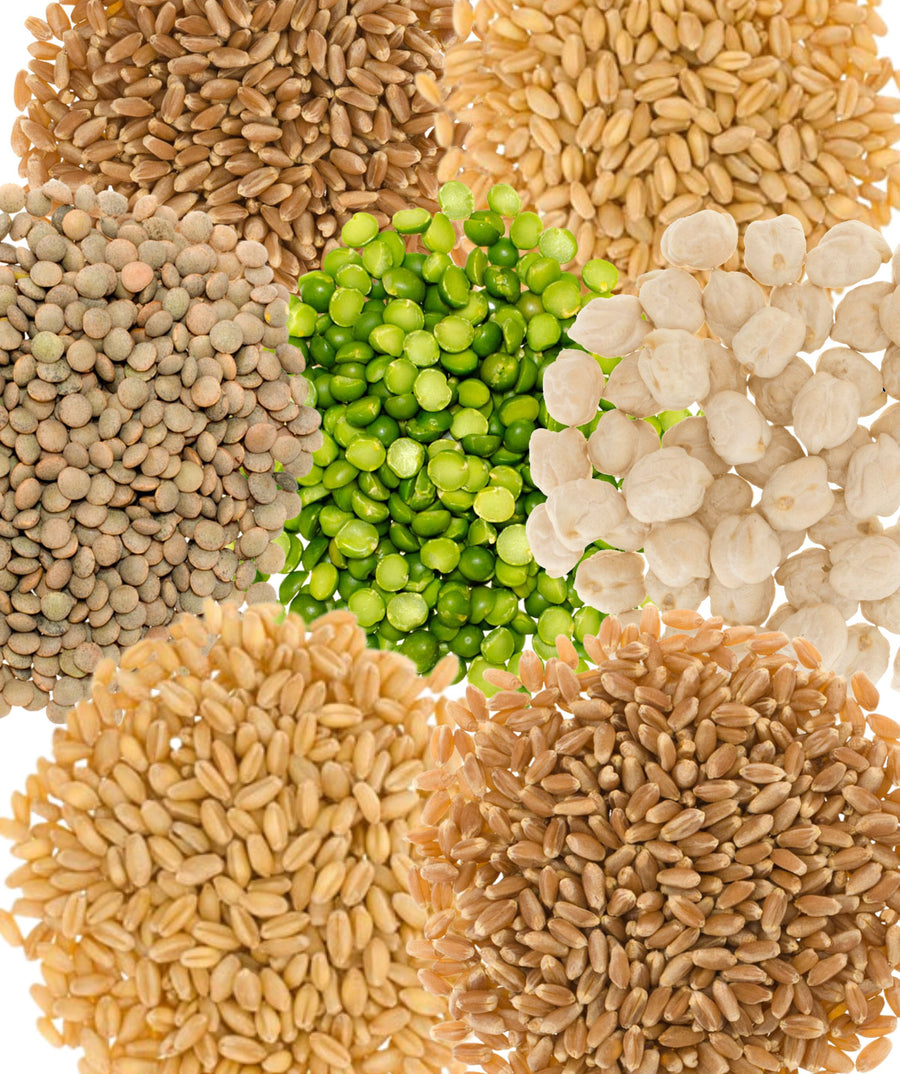 Family Farmed Dry Grains and Legumes