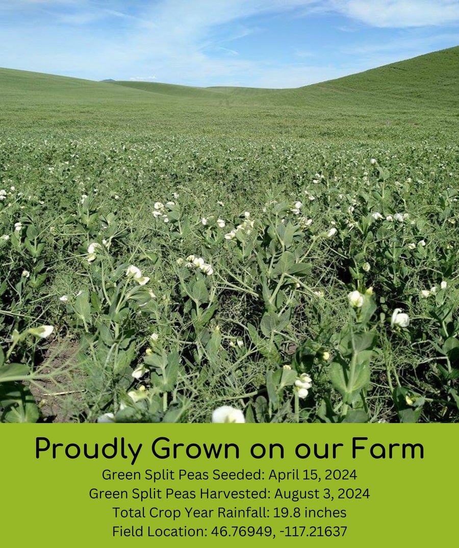 Green Split Peas Field trace