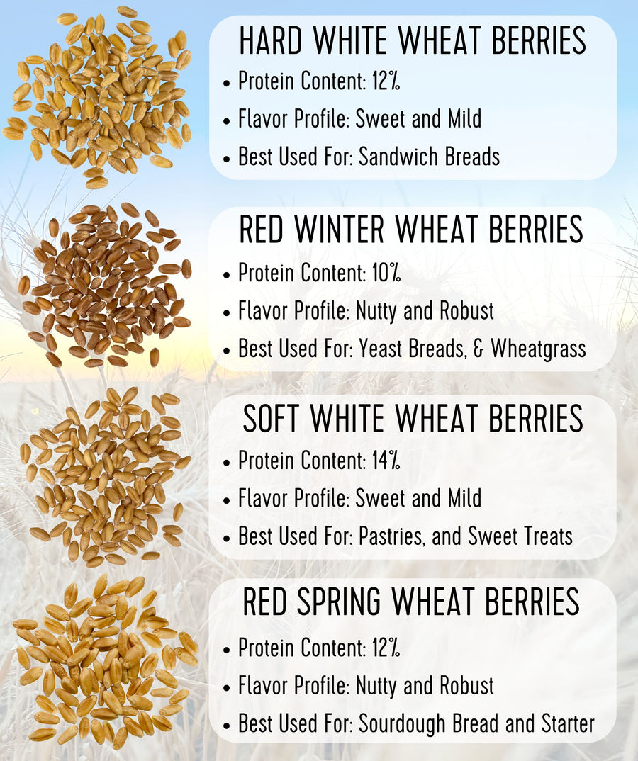 Wheat Berries Comparison