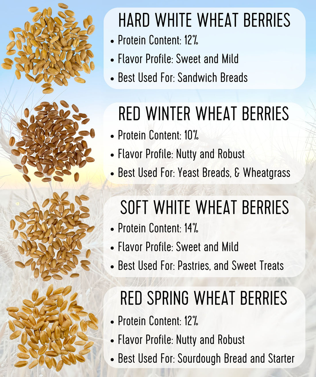 Wheat Berries Comparison