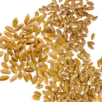 Wheat Berries Varities