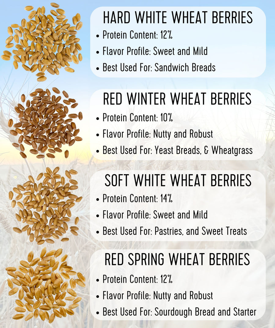 wheat berries comparison