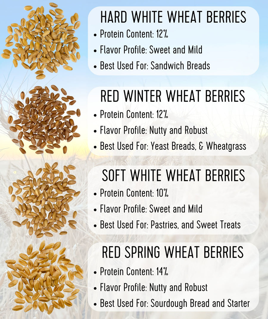 wheat berries comparison