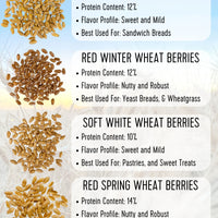 wheat berries comparison