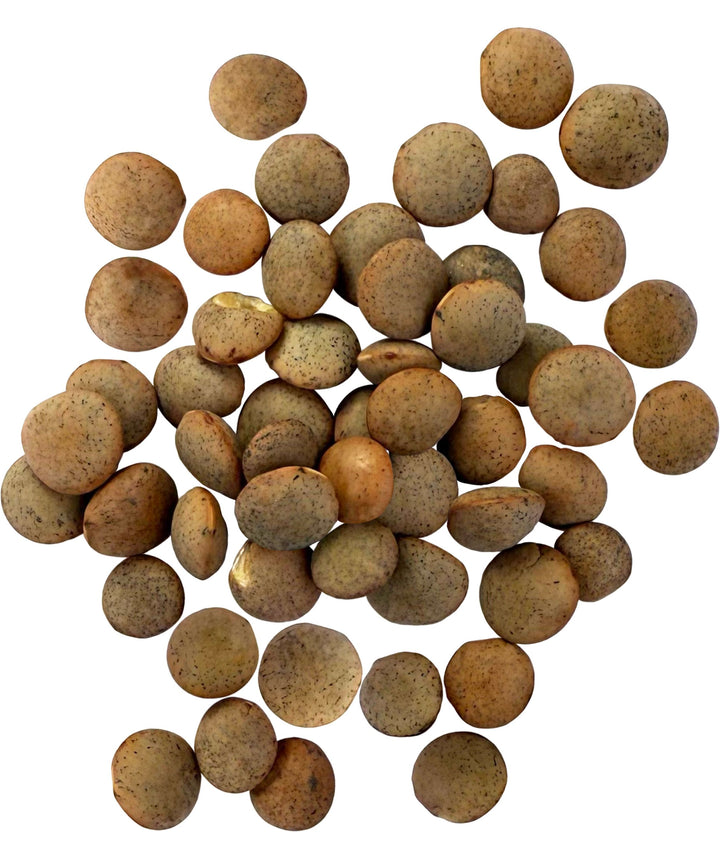 Dry Brown Lentils