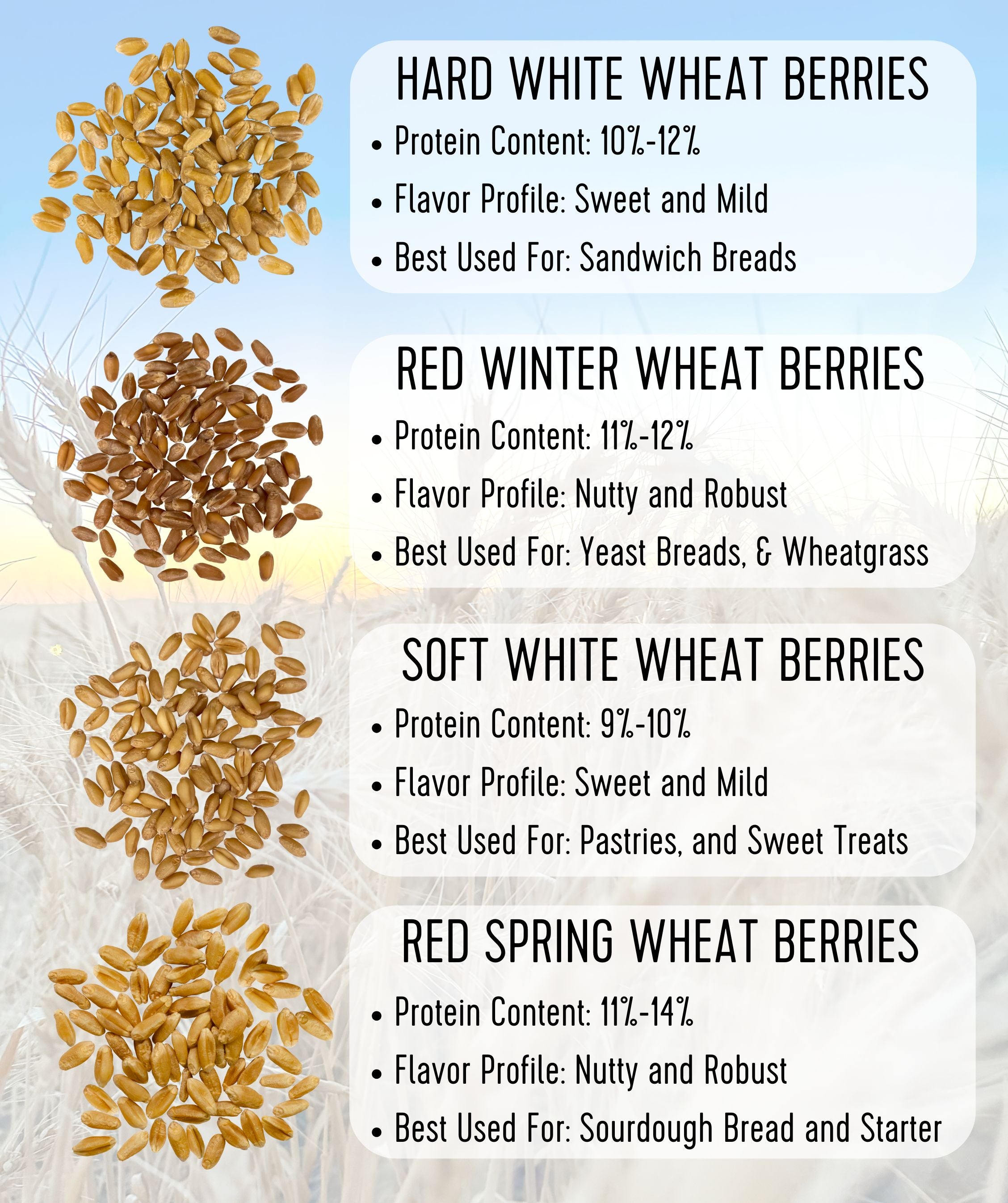 wheat berries comparison