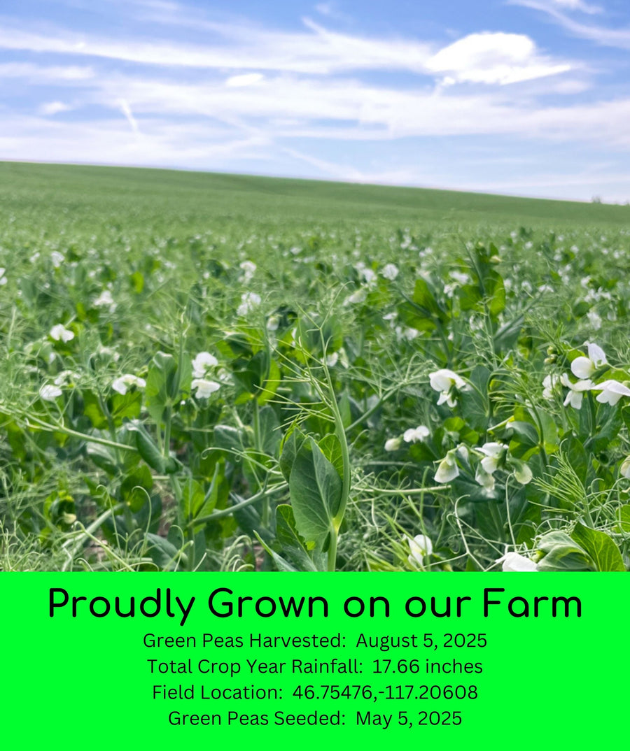 Green Split Peas 2025 Field Trace