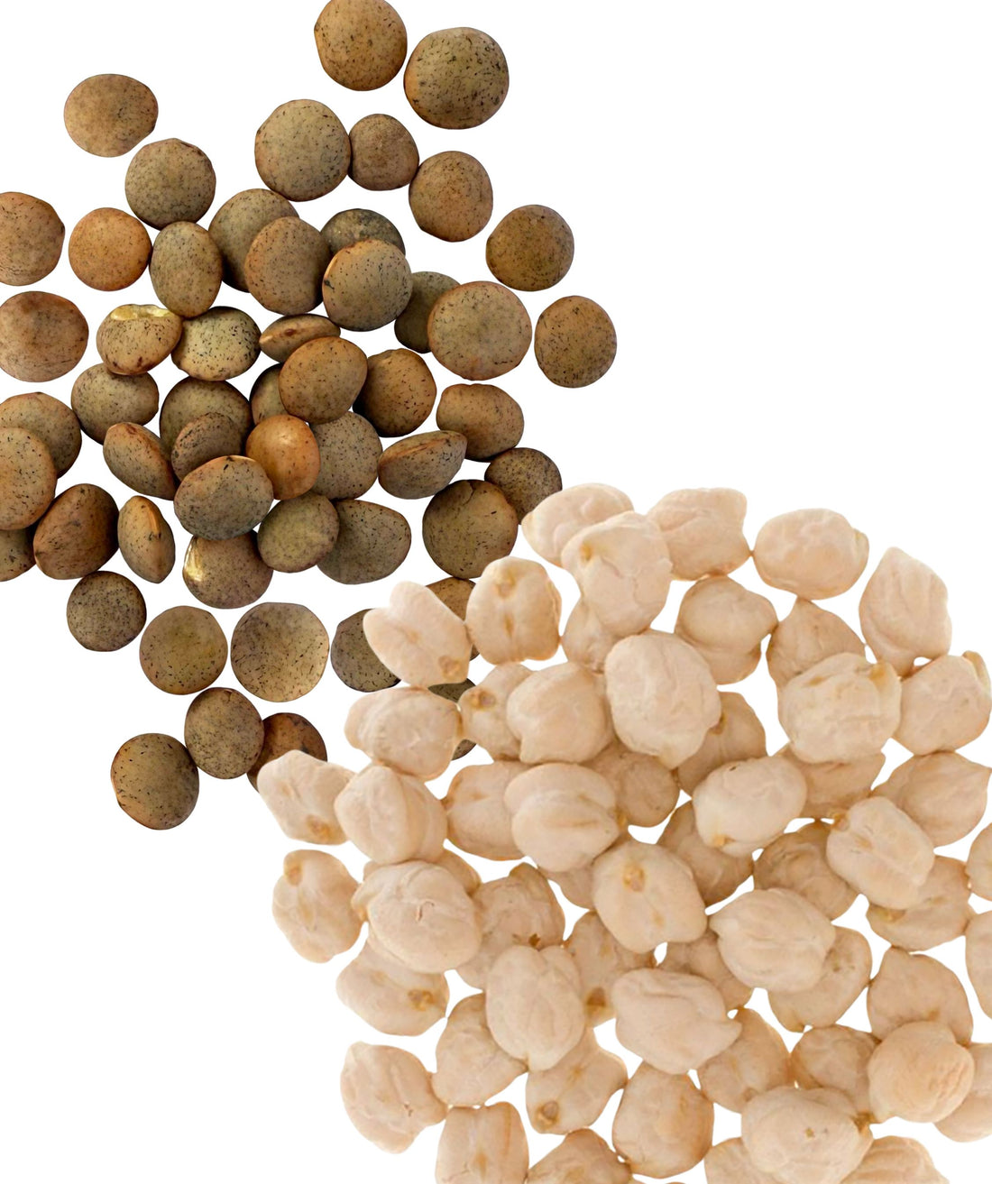 Dry Chickpeas,Dry Lentils
