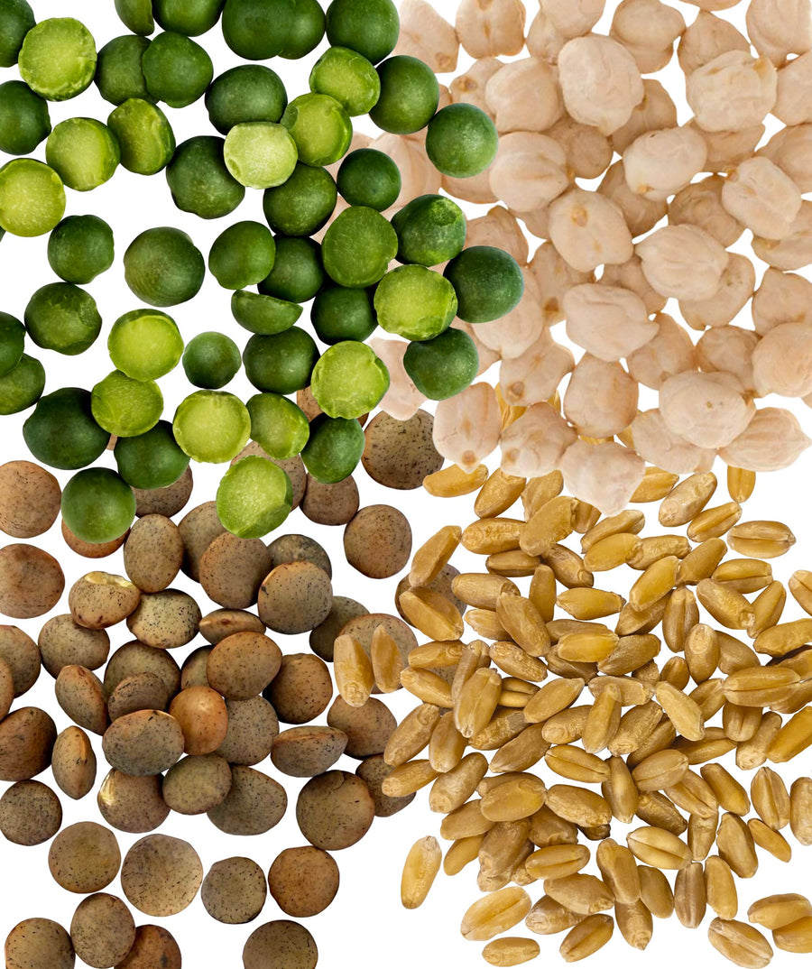 Chickpeas,Brown Lentils,Green Split Peas,Hard White Wheat