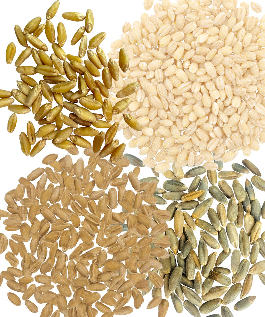 Dry Grains