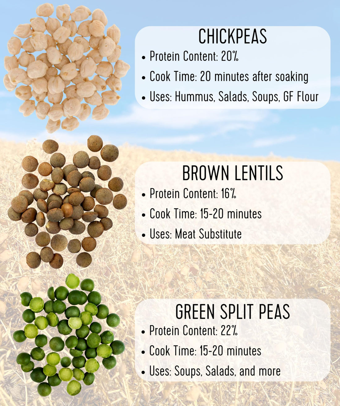 Green Split Pea Value Pack | 10 lbs