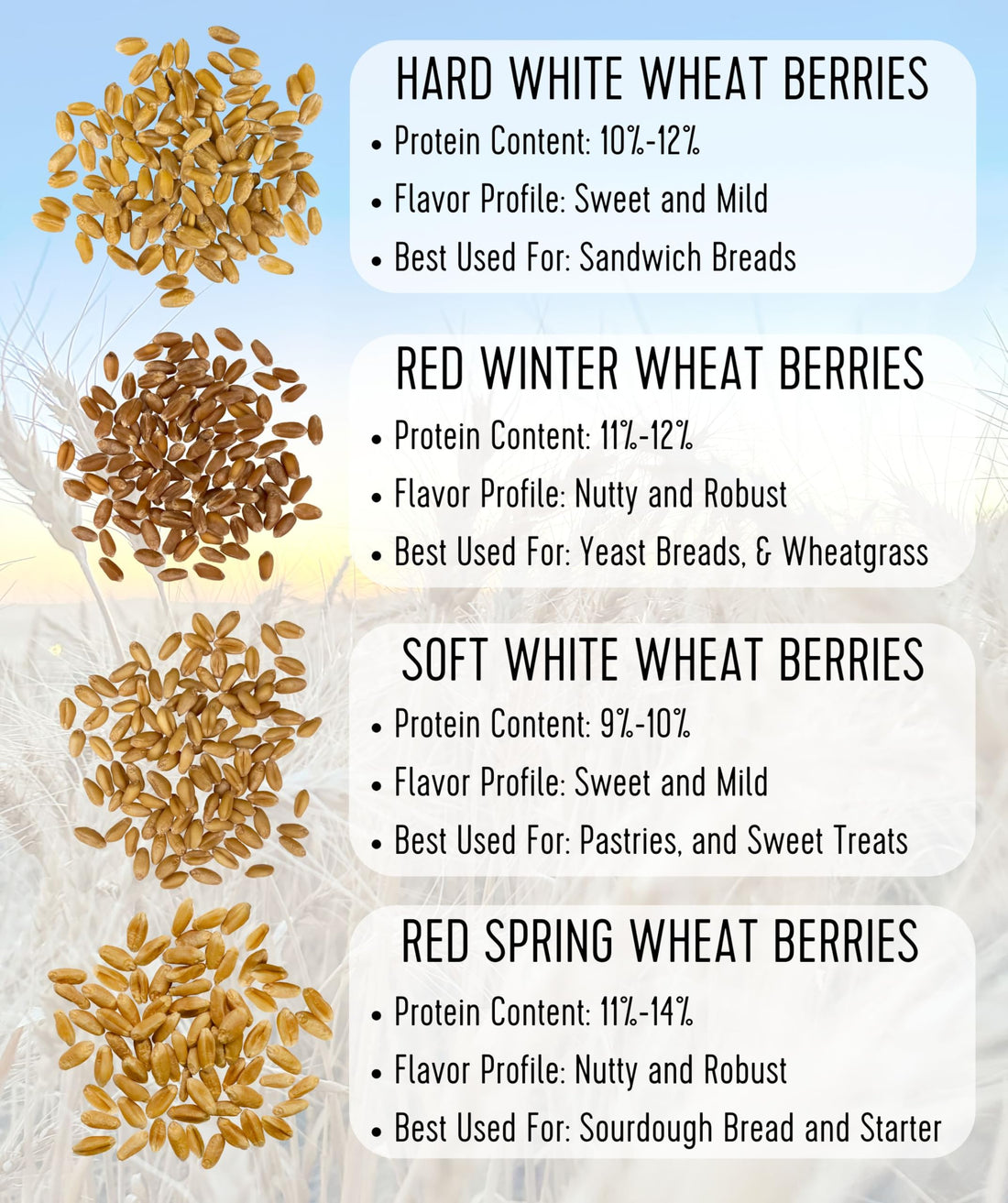 Hard Red Spring Wheat Berries | 10 lb (2 × 5 lb) | Certified Glyphosate Residue Free - Value Pack