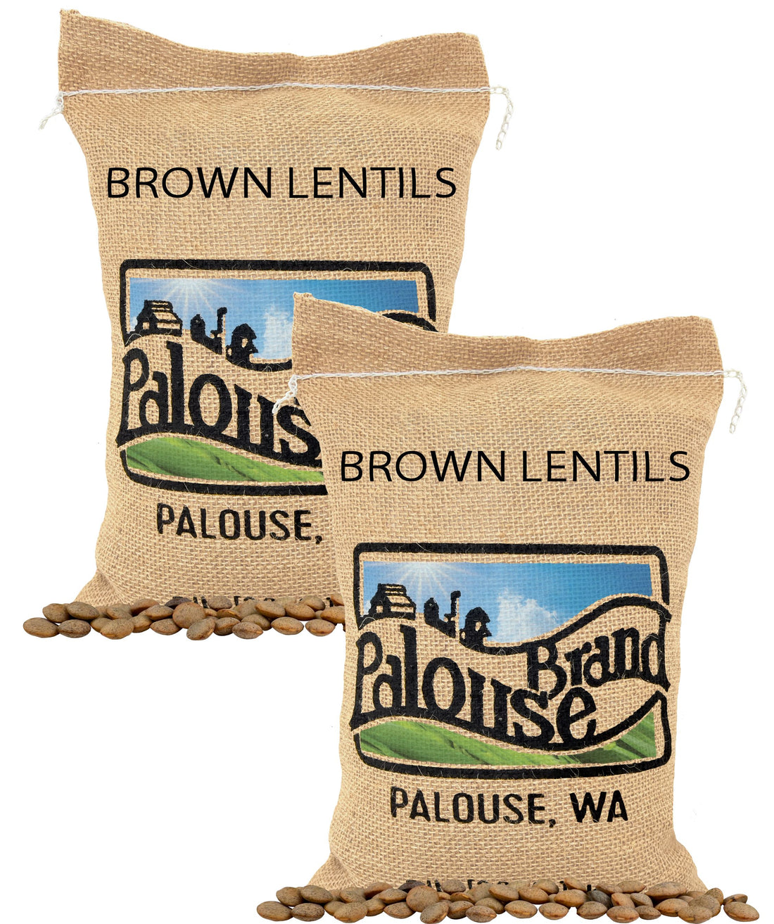 Brown Lentil Value Pack | 10 lbs