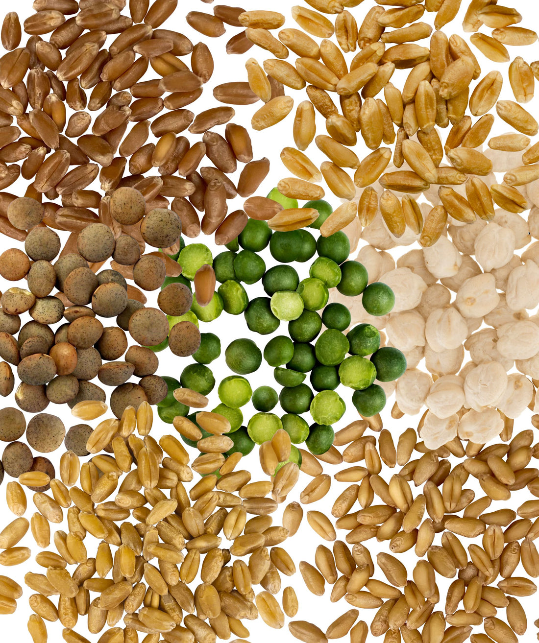 Palouse Brand 25 LB Bundle | 175 LBS | Certified Glyphosate Residue Free