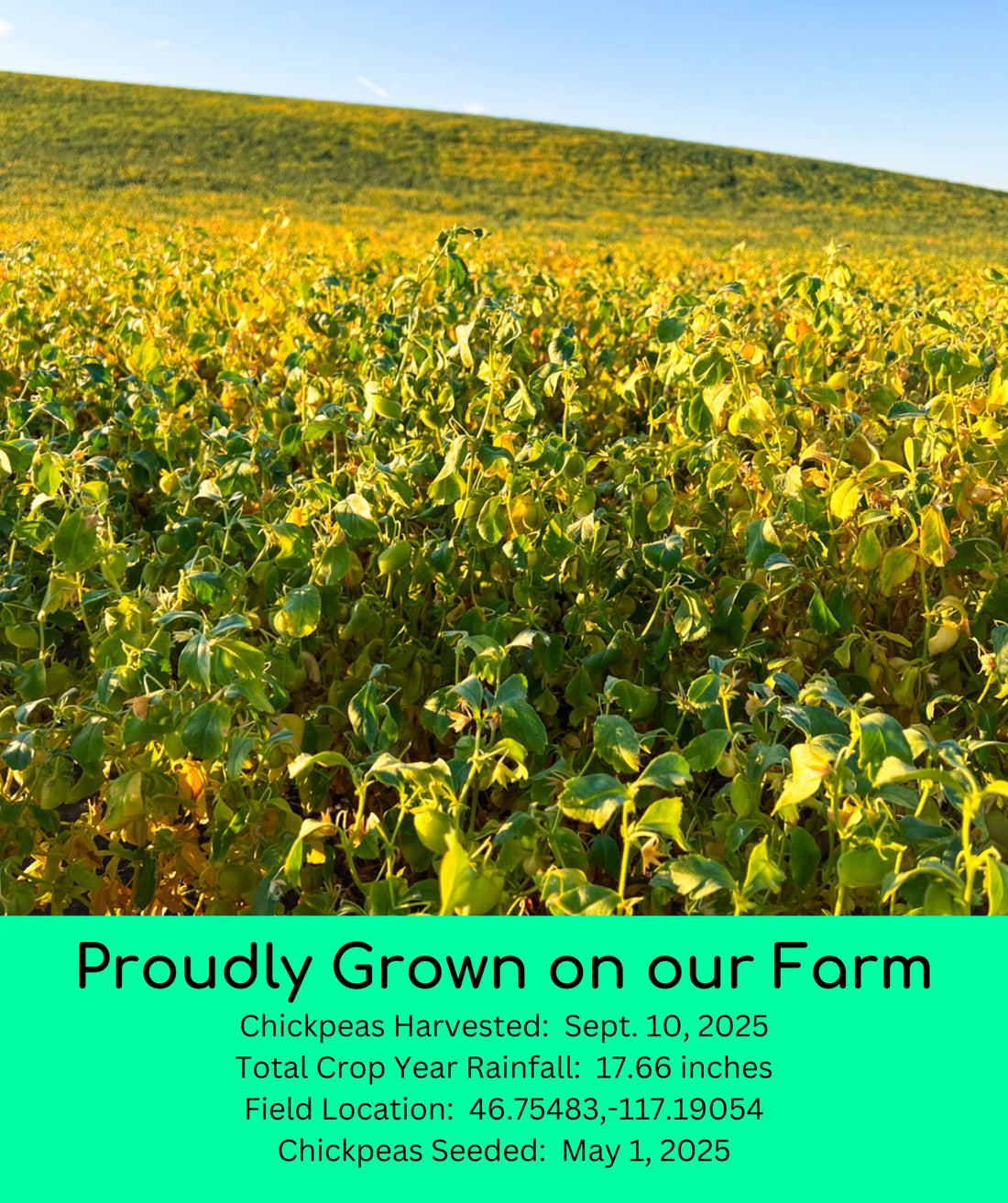 Palouse Brand 25 LB Bundle | 175 LBS | Certified Glyphosate Residue Free