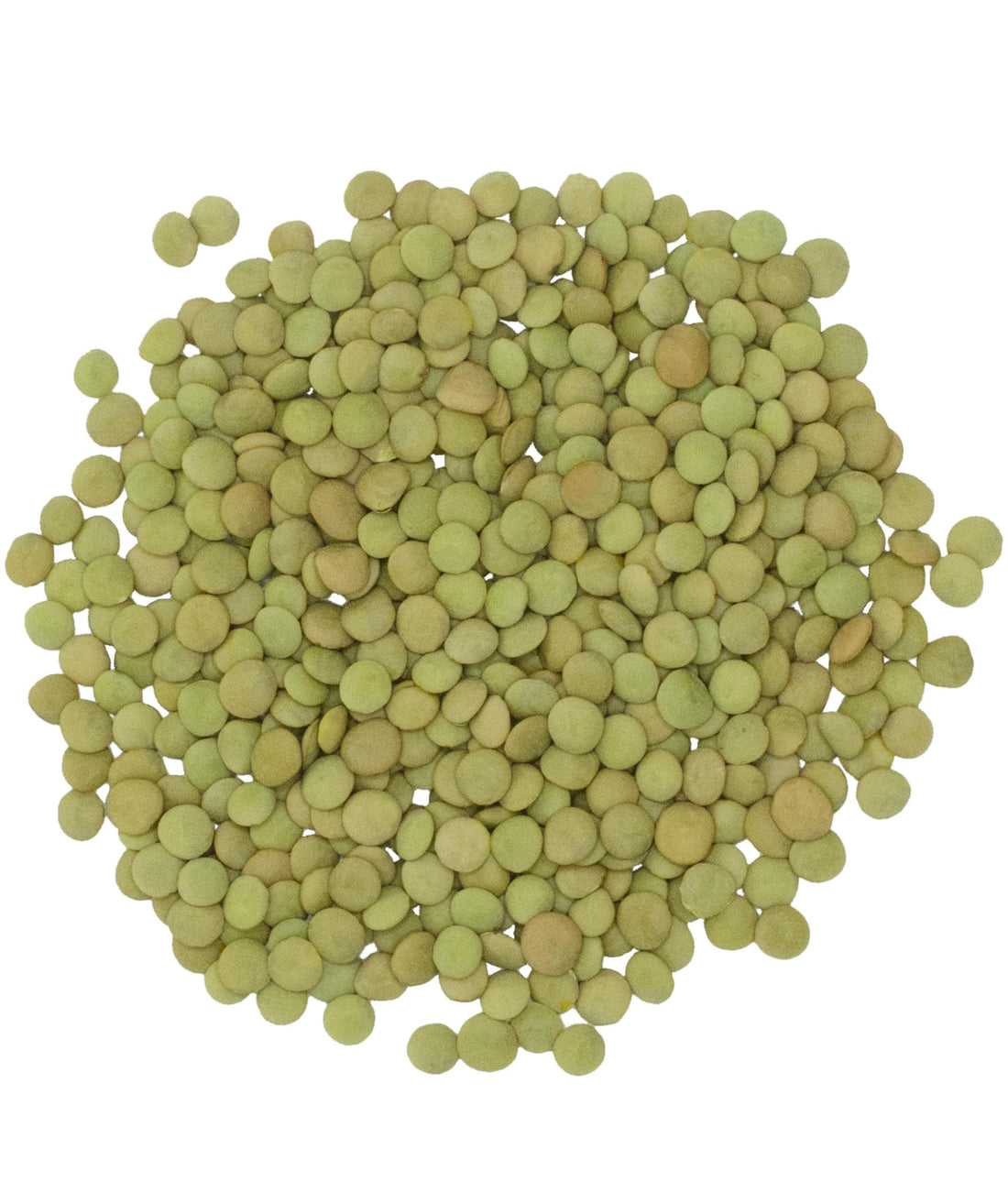 bulk green lentils