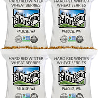 Bulk Red Winter Wheat Berries 100 bs