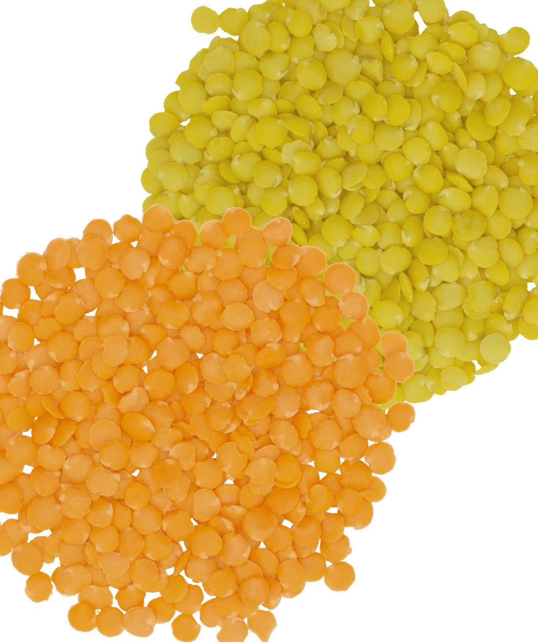 red lentils,dry yellow lentils