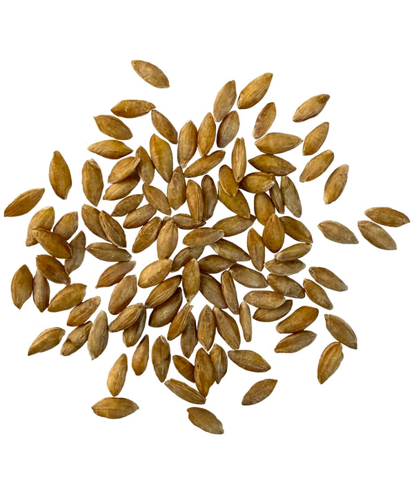 Bulk Einkorn Wheat Berries