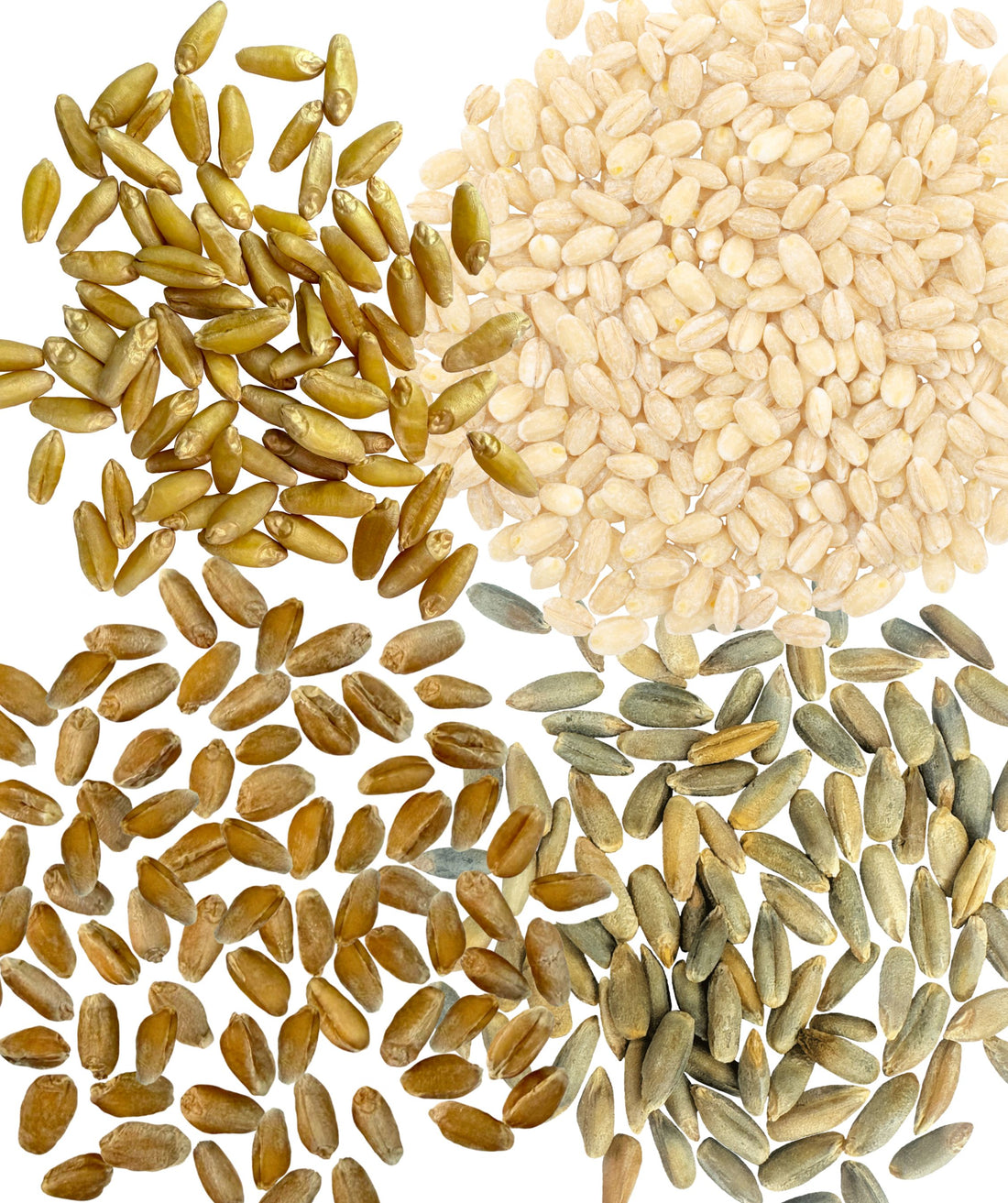 Variety Grains