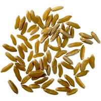 Khorasan Wheat Berries,Kamut