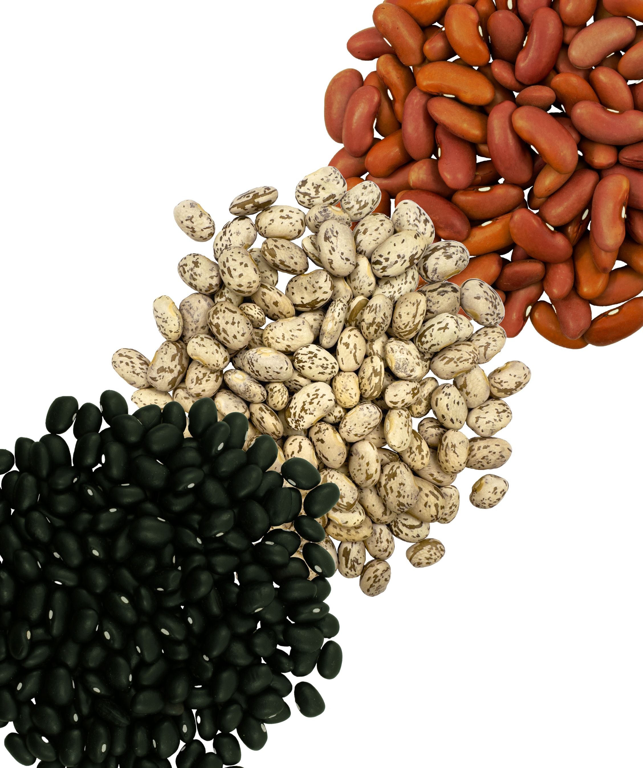 Black Beans 1 lb | Non-GMO Vegan Kosher Dried Beans High Protein
