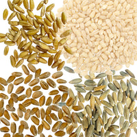 Small Grains Bundle