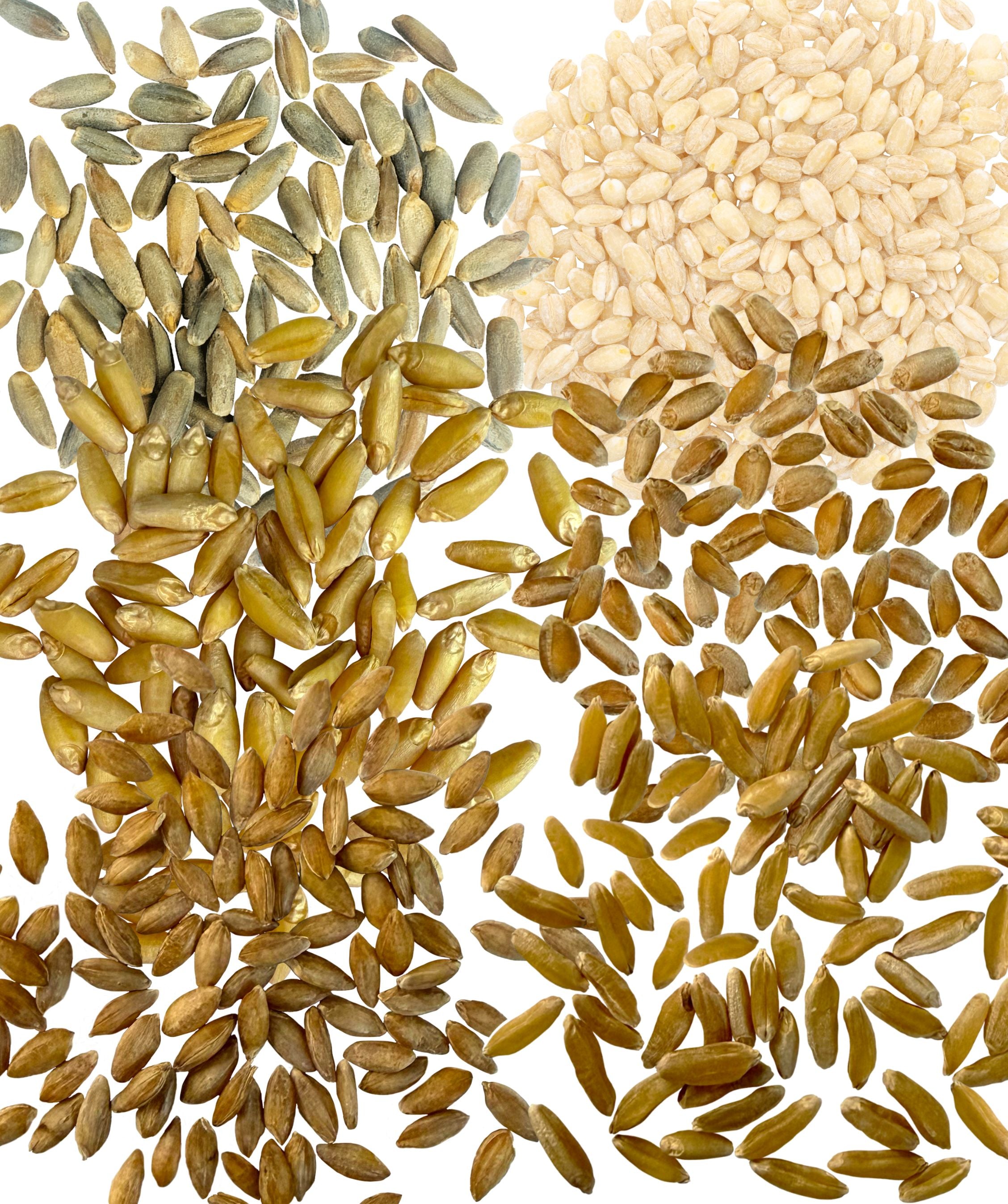 Bulk Variety grains