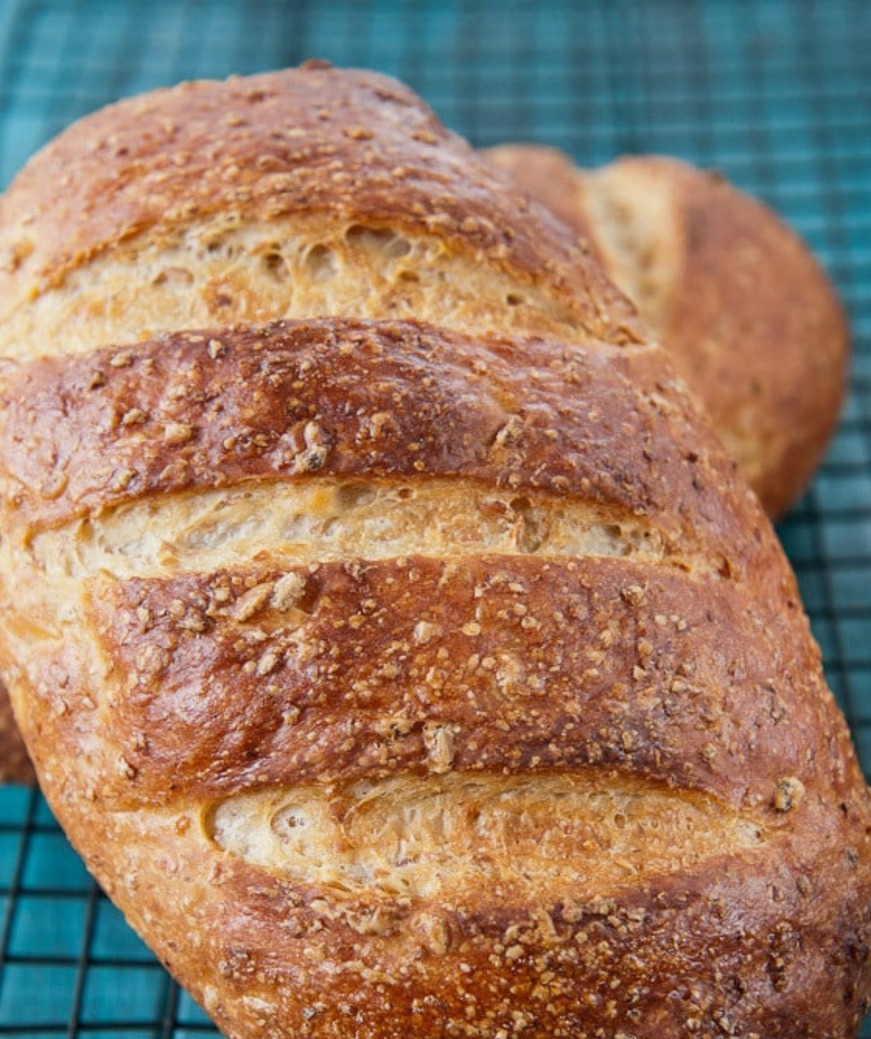 rye berries