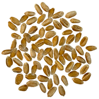 spelt berries