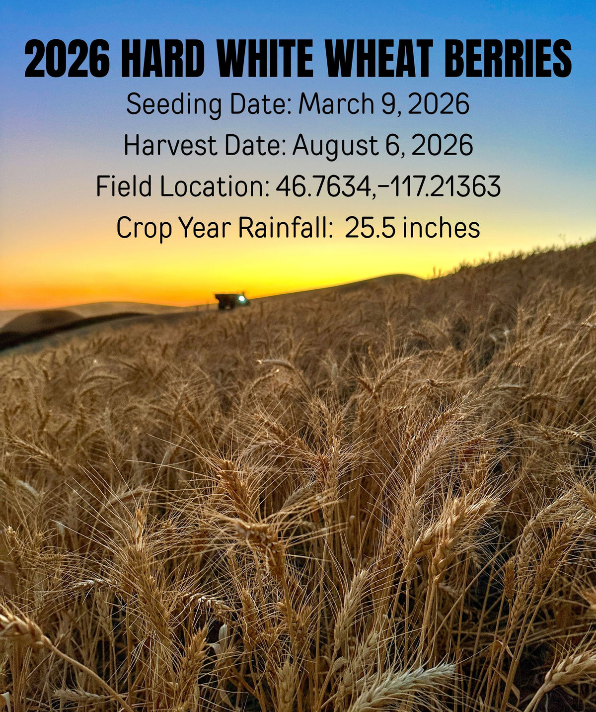 2026 hard white wheat berries field location