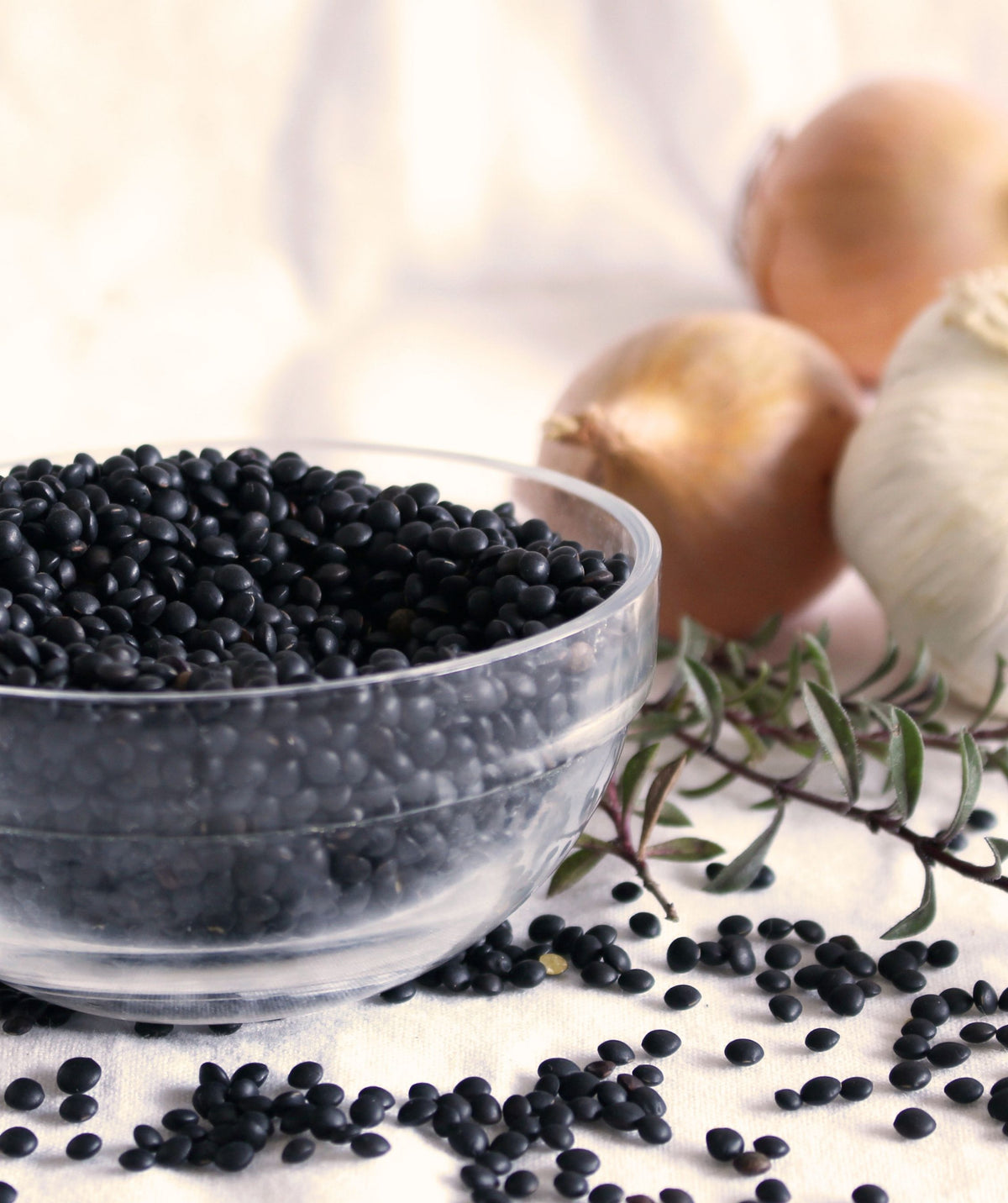 cooking with beluga lentil