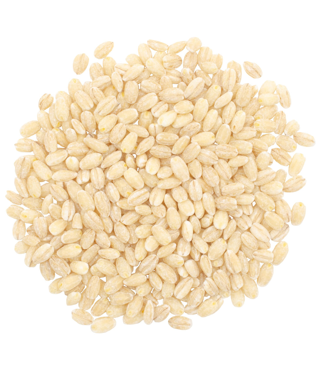 Barley Image