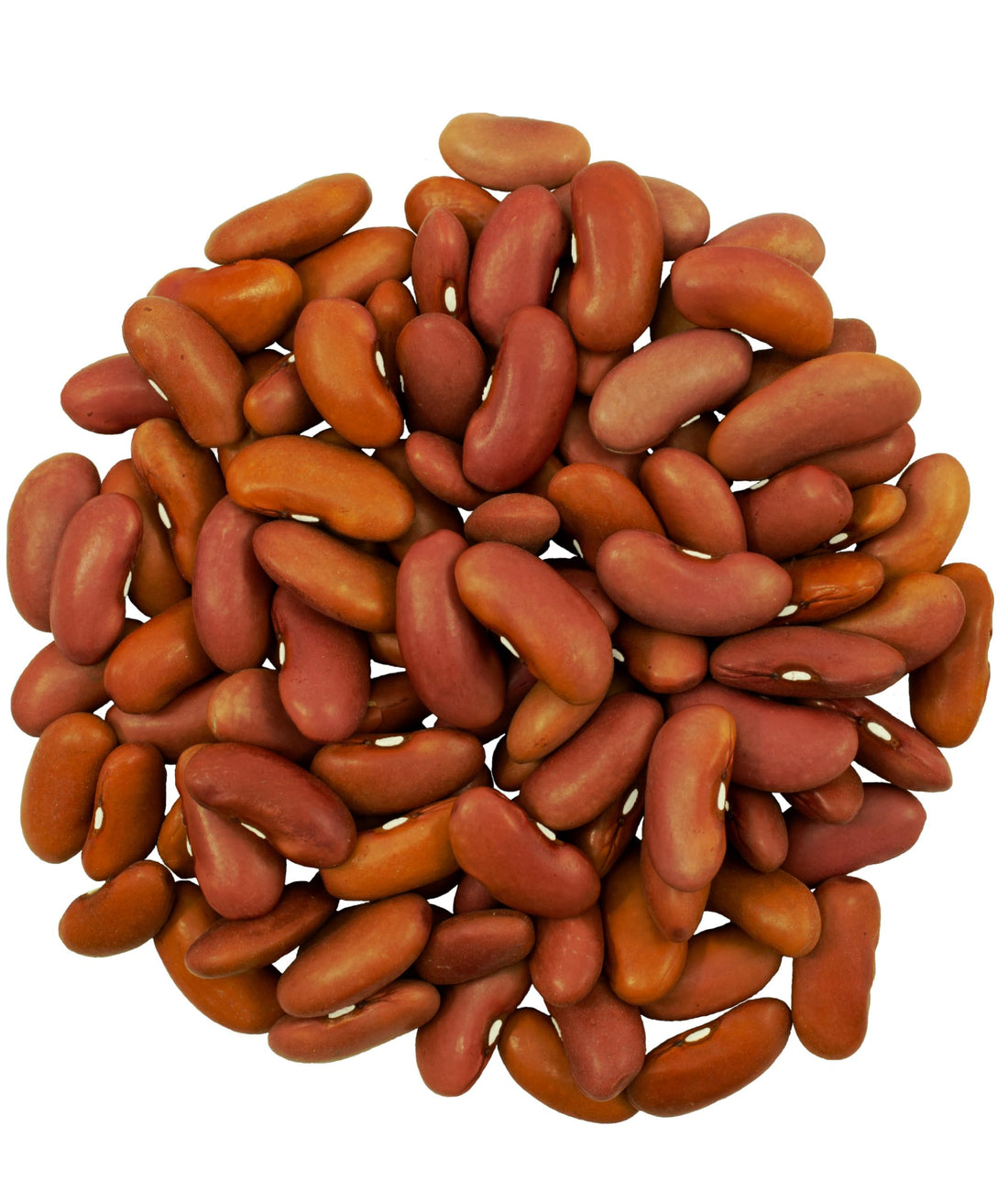 Kidney Beans