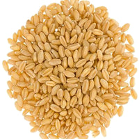 Hard White Wheat Berries