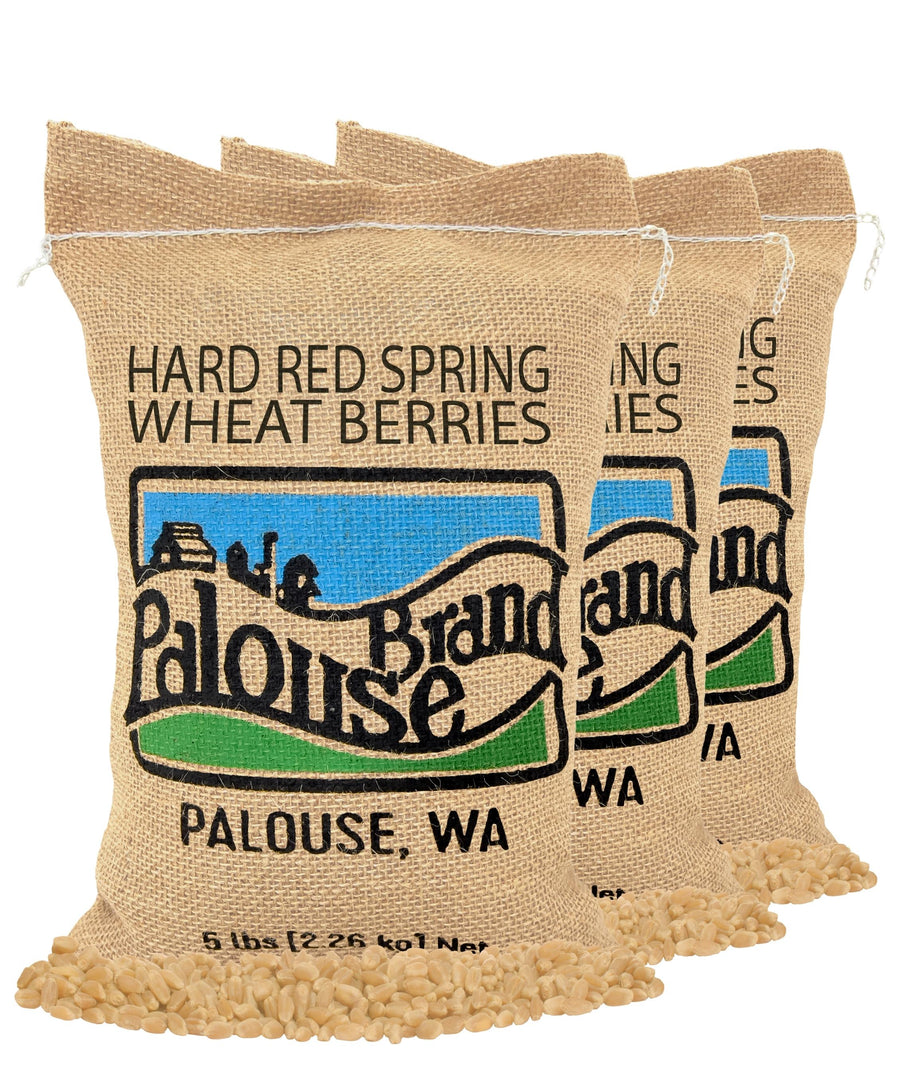 Red Spring Wheat Berries Pack | 15 LBS