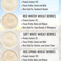 Whole Wheat Flours comparison